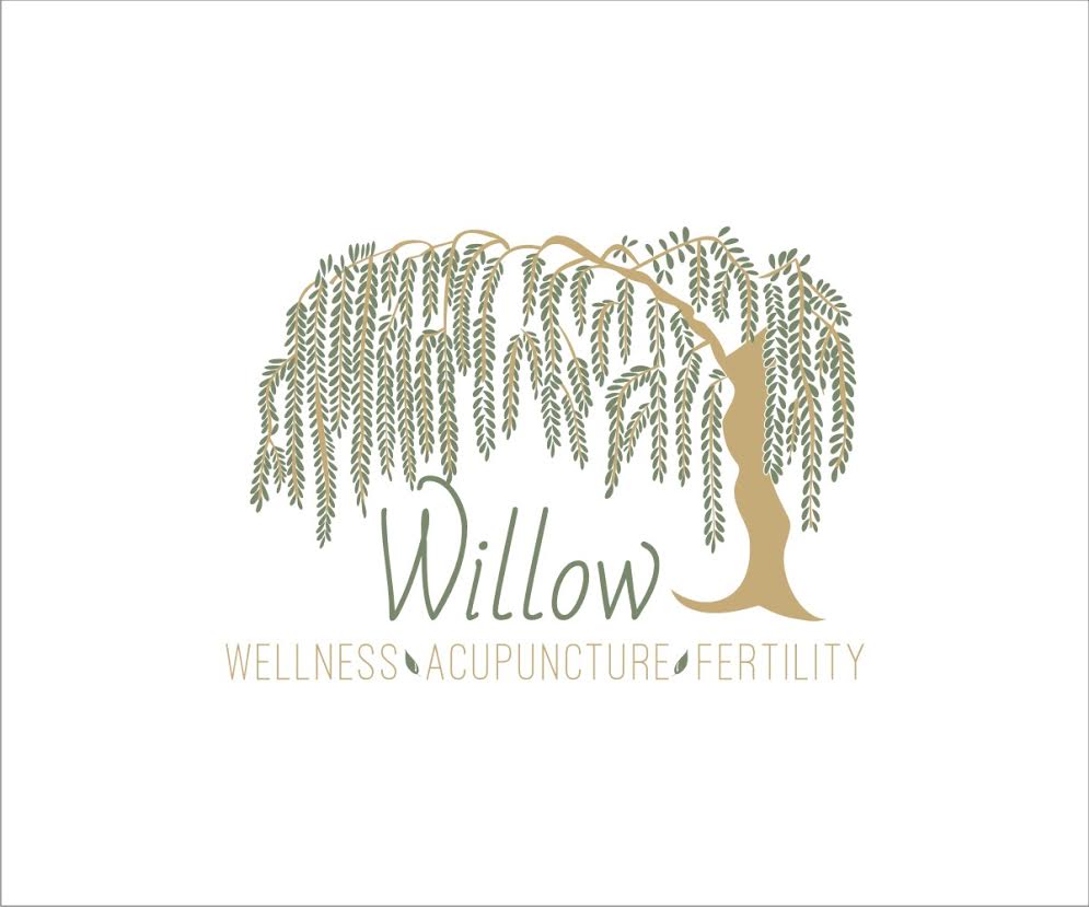 willow logo - Sacred Vision Designs